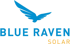 blue-raven