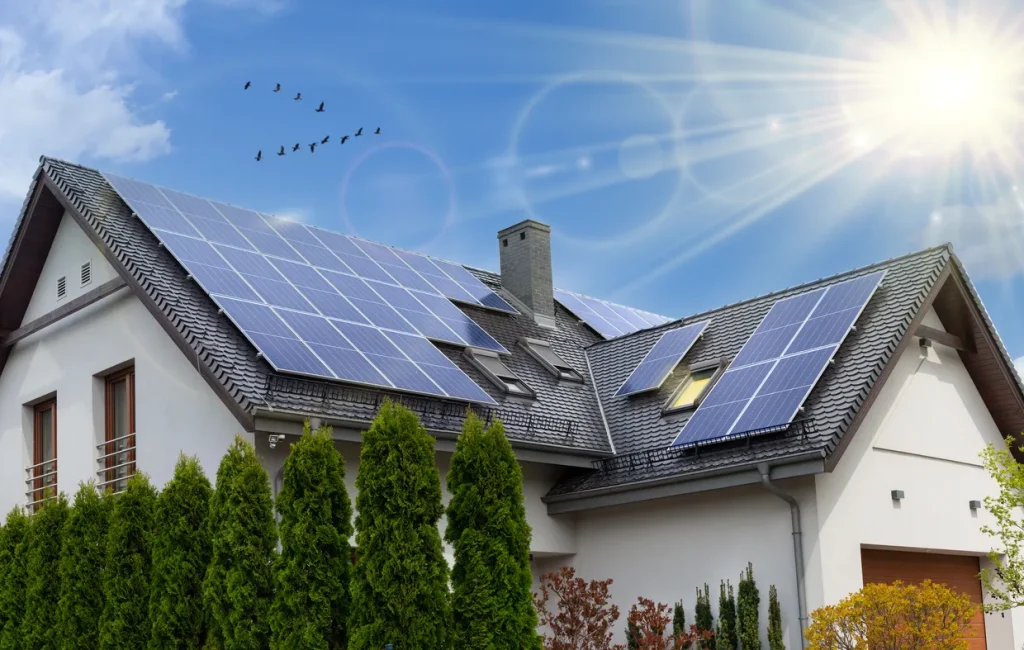 Pros and Cons of Solar Panels and What They Mean for the Environment