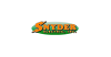 Snyder Electric review