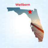 Top Solar Companies in Wellborn, Florida