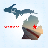 Top Solar Companies in Westland, Michigan