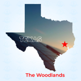 Top Solar Companies in The Woodlands, Texas